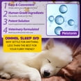 thumbnail image 5 of Oimmal Melatonin for Dogs - Dog Sleep Aid Drops - Promotes Healthy, Restful Sleep for Dog, Cortisol Balance, Natural Relaxant, Sleep Support - Liquid Supplement 2 oz (60 ml) Bacon Flavor, 5 of 11