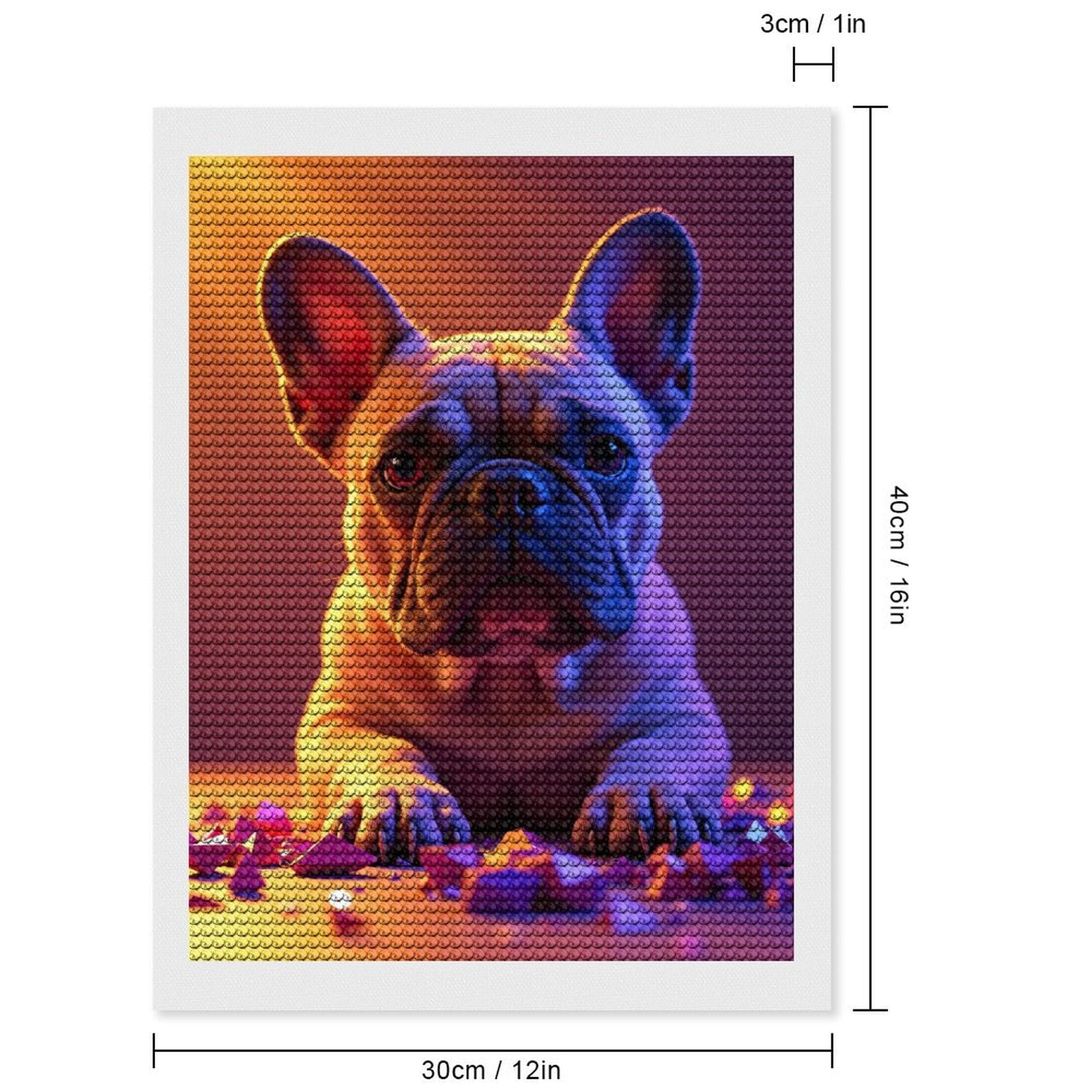 Diamond Art Kits for Adults, Calm Bulldog Under Colorful Light 5D Diamond Painting Kits for Adults Beginners, DIY Full Drill Diamond Painting, Gem Art and Crafts 12x16