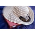 thumbnail image 2 of Kaveney, Wendy 32x23 White Modern Wood Framed Museum Art Print Titled - French Polynesia Sun hat, sunglasses and book, 2 of 4