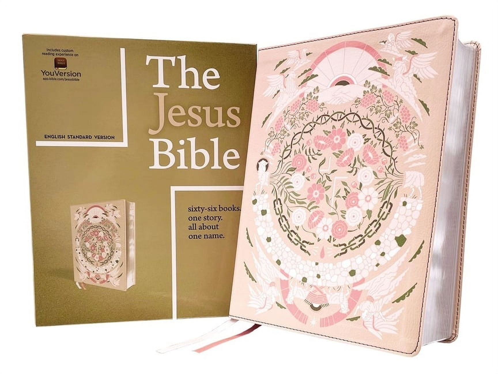 The Jesus Bible Artist Edition, Esv, (with Thumb Tabs to Help