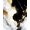 Black White Gold, Pattern 7, variant on ODIKA 8'x10' Washable Area Rug Abstract Marble Modern Brushstroke Design With Gold Veining Motif for Living Room, Under Sectional, Family , Durable, Non-Slip