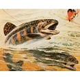thumbnail image 2 of Unknown 24x20 Gold Ornate Wood Framed with Double Matting Museum Art Print Titled - Trout and Fly, 2 of 4