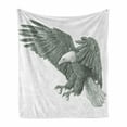thumbnail image 1 of Eagle Soft Flannel Fleece Throw Blanket, Monochrome Pencil Drawing Style Bird Detailed Features Wild Nature, Cozy Plush for Indoor and Outdoor Use, 50" x 70", Black Grey White, by Ambesonne, 1 of 6
