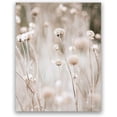 thumbnail image 3 of Canvas Painting Pampas Grass Plants Nature Landscape Boho - Modern Botanical Poster - 20x30 cm (Unframed) x3, 3 of 4