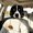 B, variant on 2 Pack Funny Sled Dog Printed Car Headrest Covers,Universal Auto Headrest Protectors for Pet Lovers Car Interior Decor Gift