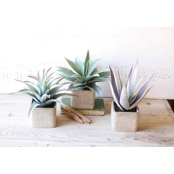 Set Of 3 Realistic Lifelike Artificial Botanica Succulents In Square Pots 11"H