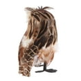 thumbnail image 3 of DOLITY 2Pcs Mini Artificial Owl, Furry Realistic Imitation Taxidermy Home Garden Desk, 3 of 9