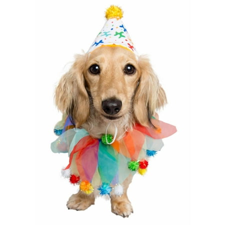 UPC: 0810005331555 | Pet Krewe Dog Happy Birthday Hat & Collar Outfit | 1st Bday Party Costume  National Cat Day  Photo Shoots & Celebrations | Doggie & Puppy Clothes | Ideal Gift for Small  Medium  Large & XL Pets