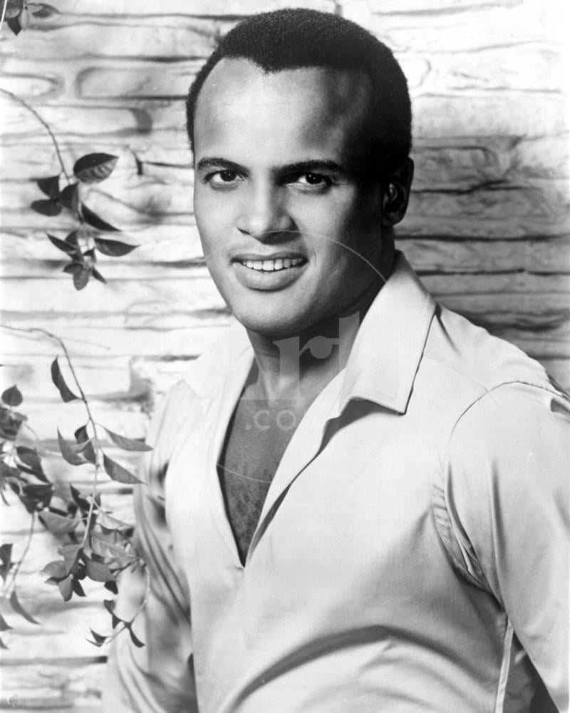 Harry Belafonte in White With Flower background Print Wall Art by Movie  Star News Sold by  