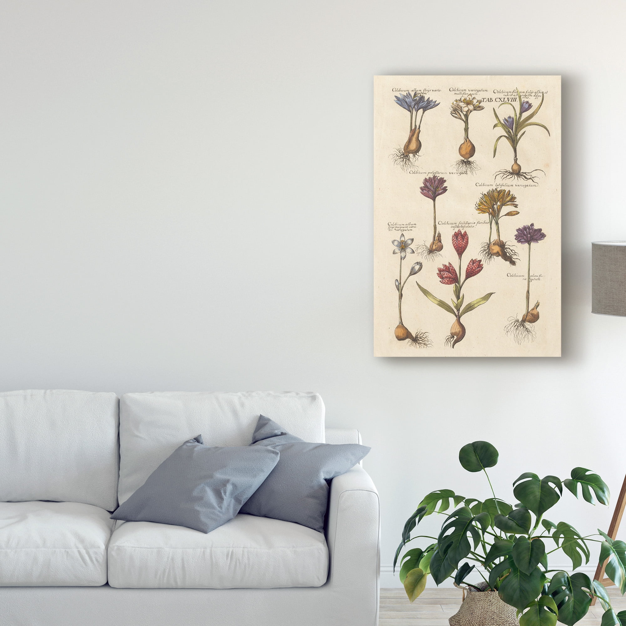 Trademark Fine Art 'Vintage Florilegium I' Canvas Art by Wild Apple Portfolio