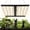 600w, variant on Accreate 8-Bar LED Grow Light, 120v Commercial Plant Growing Lamp,for 4x4Ft Coverage, 120v Commercial Plant Growing Lamp for Indoor Plants, Seedling and Flowering