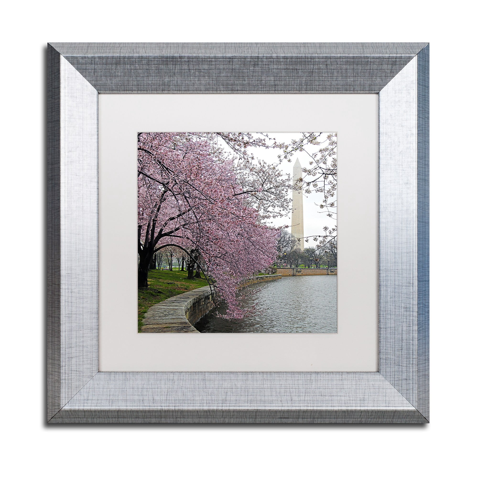 Trademark Fine Art "Washington Blossoms" Canvas Art by CATeyes, White Matte, Silver Frame