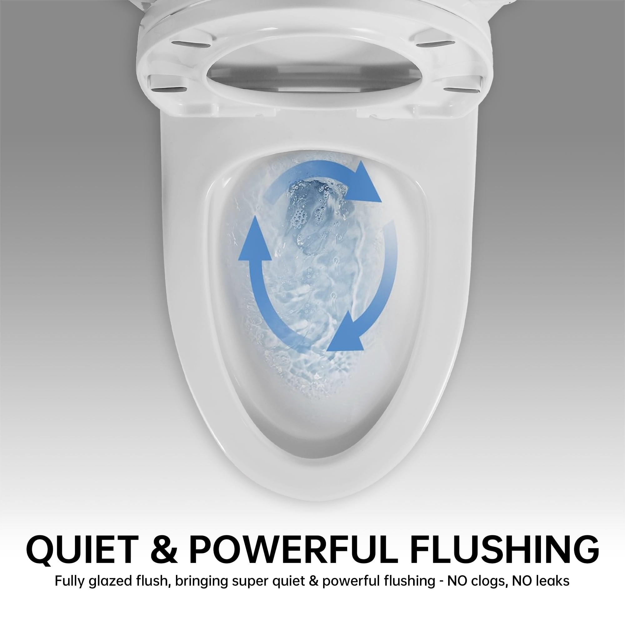 Trumanpick Elongated One-Piece Toilet, 17" ADA Comfort Height Seat, Dual Flush 1.1/1.6 GPF, 12" Rough-in, Bathroom High Efficiency Toilet