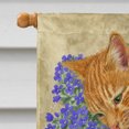 thumbnail image 3 of Carolines Treasures ASA2150CHF Cats Flag Canvas House Size, 3 of 4