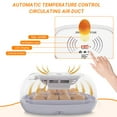 thumbnail image 5 of Topchances 16 Egg Incubator with Humidity Display and LED Egg Candler, Automatic Egg Turner and Water Adding Temperature Control, Adjustable Egg Tray for Hatching Chickens, Ducks, Goose, Quails, 5 of 12