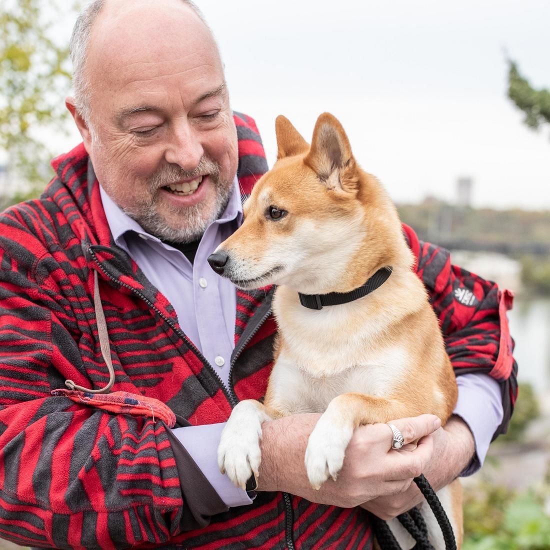 Pet Attire by Coastal Small 8-12" Black Adjustable Buckle Dog Collar, Small Adjustable Collar