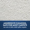 thumbnail image 3 of Prochem Dry Slurry Professional Cleaning Concentrate Detergent Powder for Carpet, 6 Lb Jar, 3 of 8
