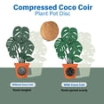 thumbnail image 5 of 60pcs 40mm Compressed Coco Coir Fiber Potting Soil - Expanding Organic Seed Starting Plugs for Planting, 1.57" Pellets, 5 of 7