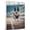 Akita, variant on Maltese Dog Playing Running Stretched Canvas Size 8x12 – Sports Dog, Perfect for Animal Lovers, Maltese Dog Canvas, Running Canvas Size Wall Art