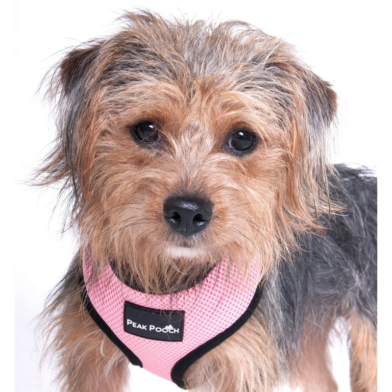 Peak Pooch Comfort Control Mesh Dog or Cat Pet Harness Orange Large Neck 14