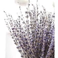 thumbnail image 2 of Dried Lavender Bundles Natural Dried Lavender Flowers For Home Decoration, 2 of 5