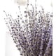 thumbnail image 2 of Paquetes de lavanda seca, flores de lavanda secas naturales para decoración del hogar, accesorios para fotos, fragancia para el hogar, paquete de 2 paquetes Ormromra WRJM-431, 2 of 8