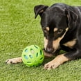 thumbnail image 7 of JW Pet Crackle Heads Crackle Ball Dog Toy, MD, Colors May Vary, 7 of 7