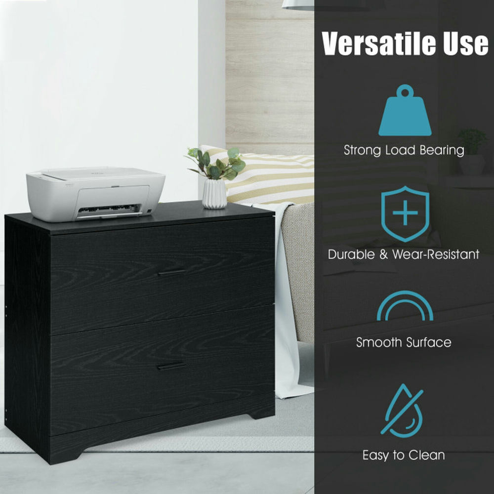 Demi Bonn 2-Drawer Lateral File Cabinet with Adjustable Bars for Home and Office, Black