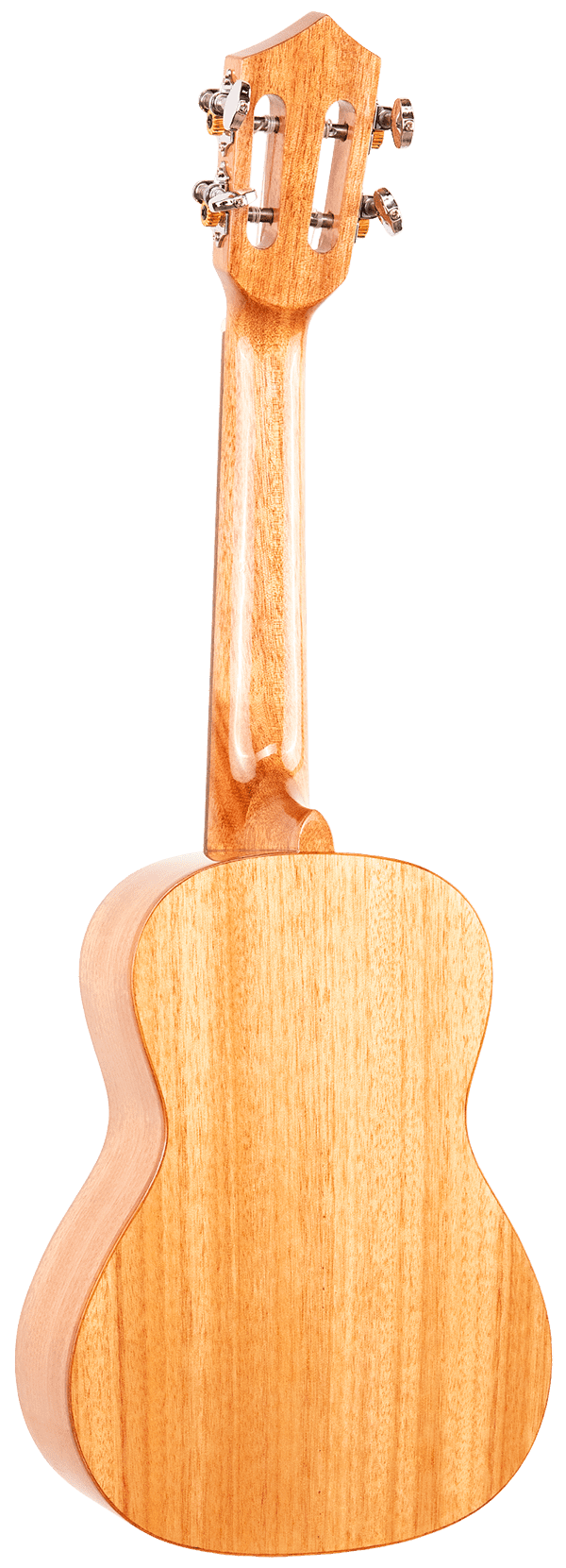 Eddy Finn Expression Series Concert Ukulele with Gig Bag, Okoume
