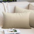 thumbnail image 2 of Brown Beige Pillow Covers 16"x24", Gradient Monochrome Modern Country Soft Brushed Microfiber Breathable Throw Pillow Covers, Decorative Pillowcase with Zipper for Couch Sofa Bedroom Living Room, 2 of 9