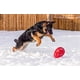 thumbnail image 5 of Juguete para perros Jolly Pets Jolly Egg Rojo 30 cm, 5 of 5