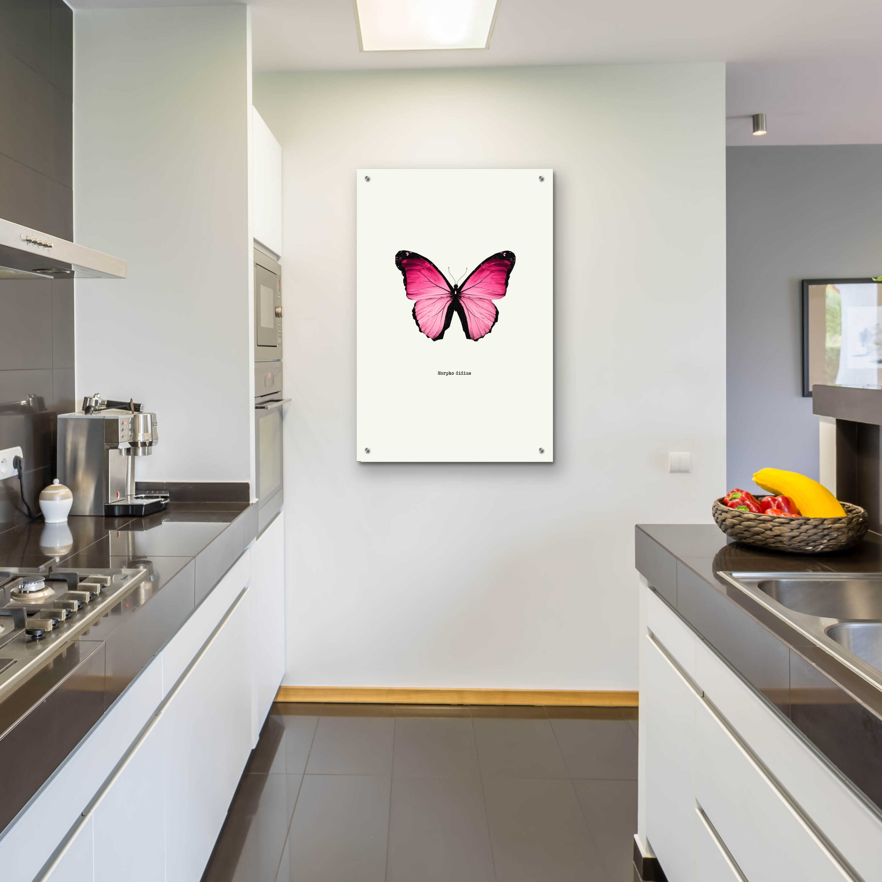 Epic Art 'Pink Butterfly' by GraphINC, Acrylic Glass Wall Art, 24"x36"