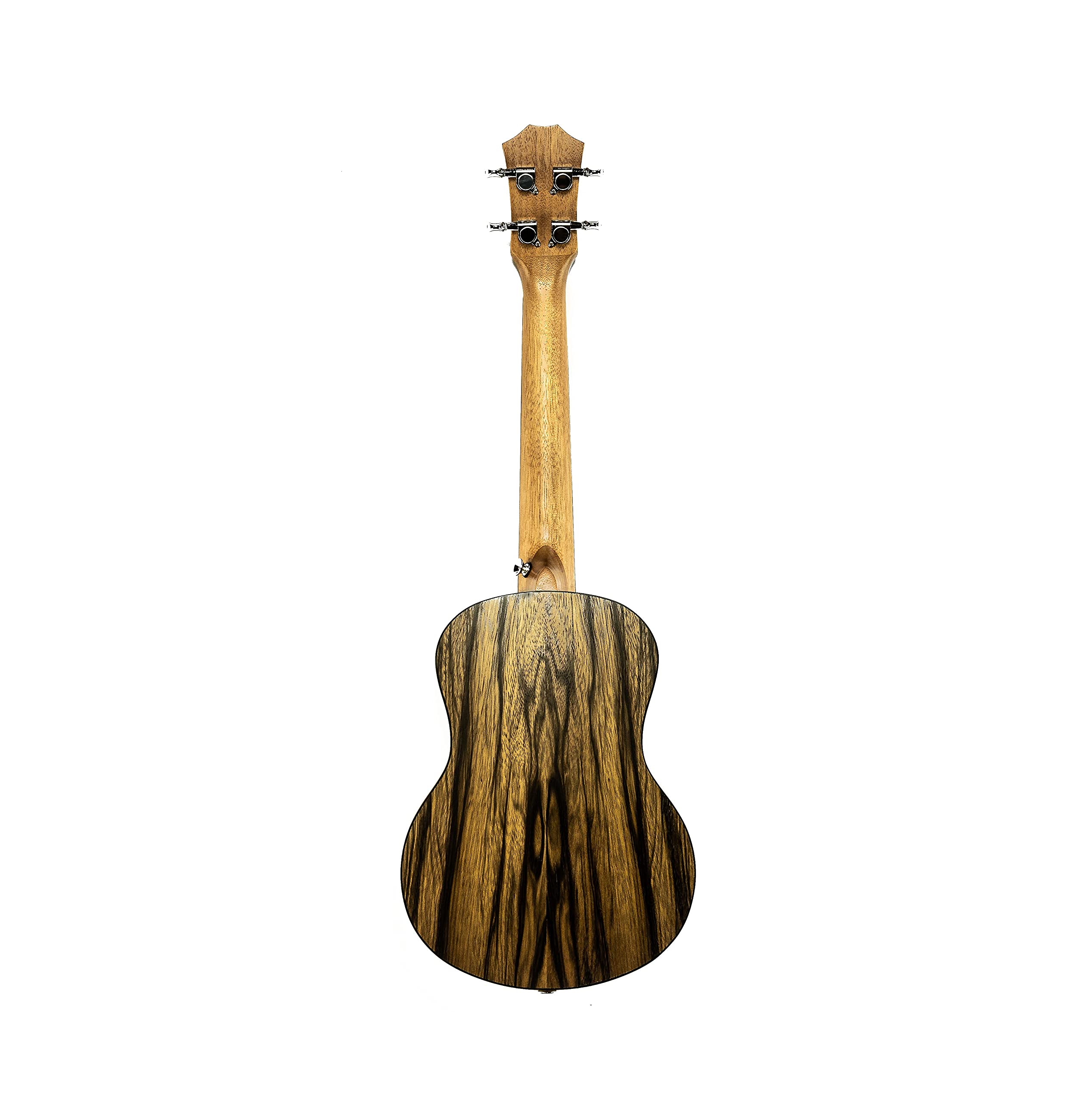 Barcelona Walnut Tenor Ukulele Bundle with Gig Bag, Tuner, Strap, Austin Bazaar Instructional DVD, and Polishing Cloth