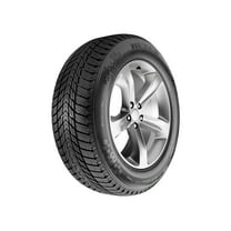 Nexen Winguard Ice Plus Winter 225/50R17 98T XL Passenger Tire