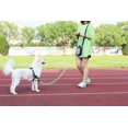 thumbnail image 7 of 5 FT Strong Dog Leash with Comfortable Padded Handle and Highly Reflective Threads Dog Leashes for Small Medium and Large Dogs (Small, 5FT, GREEN), 7 of 7