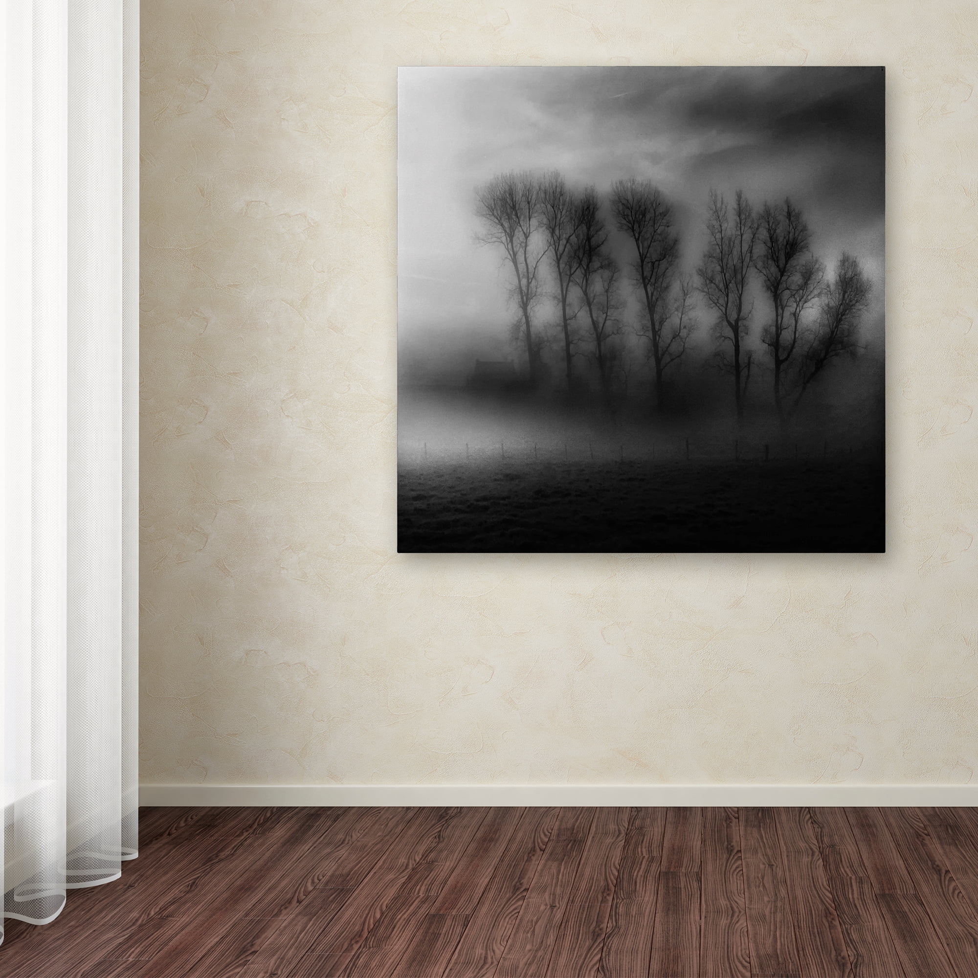 Trademark Fine Art '50 Shades Of Fog' Canvas Art by Yvette Depaepe