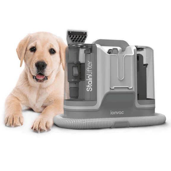 Ionvac Aspiradora a Vapor Eléctrica Portátil para Alfombras y Tapicería Stain Lifter, Color Gris