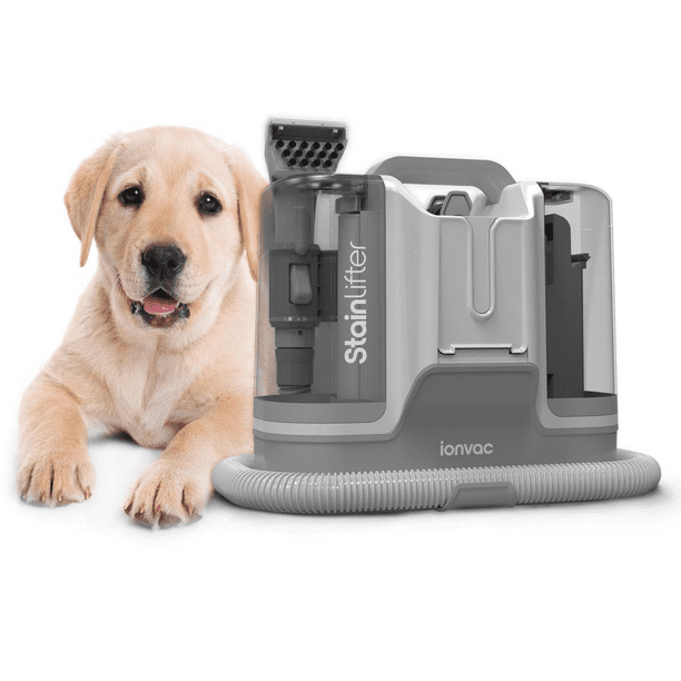 Ionvac Aspiradora a Vapor Eléctrica Portátil para Alfombras y Tapicería Stain Lifter, Color Gris