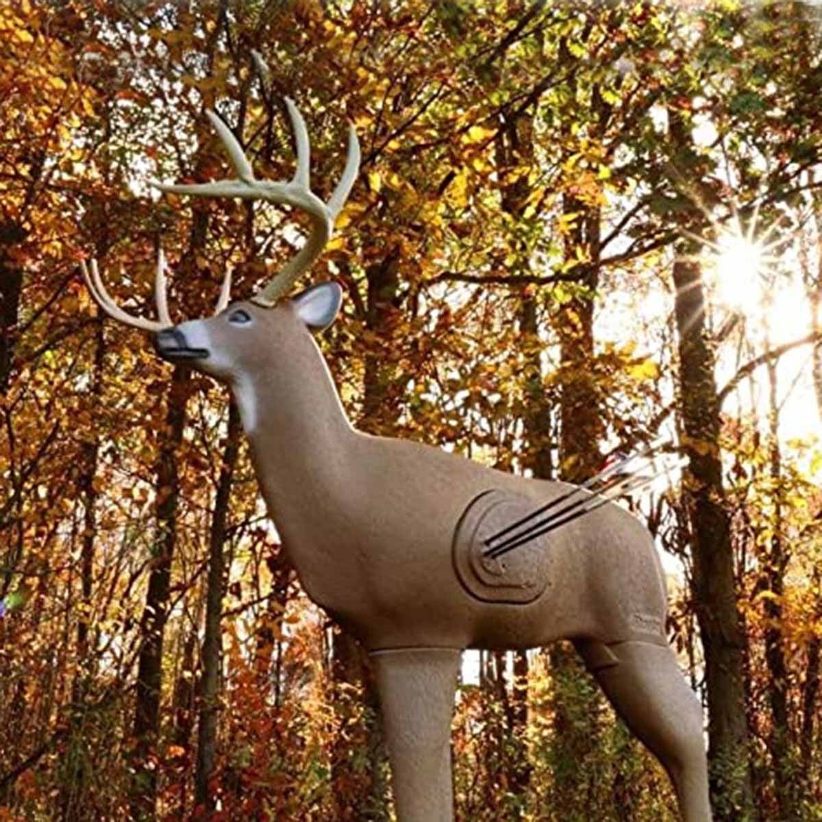 Crossbow Shooter Buck 3-D Target, Special High Density Insert, 48" Tall