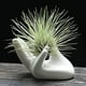thumbnail image 1 of Dahey Soporte para Plantas de Aire Lindo Soporte de cerámica con Forma de Mini Mano Plantas de Aire Tillandsia Contenedor pequeño Planta en Maceta Decoración Decorativa para el hogar para Escritorio M, 1 of 1