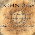 thumbnail image 2 of Lewis, Sheldon 20x20 Gold Ornate Wood Framed with Double Matting Museum Art Print Titled - John 3-16, 2 of 4