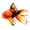 Black Orange, variant on YIFAEUX Goldfish Plush Doll Realistic Fish-shaped Throw Pillow Soft Stuffed Animal Doll for Home Decor Kids Gift And Cuddle Companion