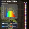 thumbnail image 2 of Grow Lights for Indoor Plants with Remote, 60 Inch Vertical Grow Light Full  192 LEDs 24W with 3/6/12H Auto On/Off Timer 3 Light Modes 5-Level Dimmable Standing Plant Lamp, 2 of 7