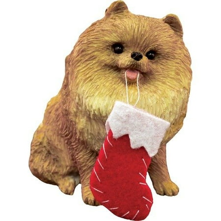 Sandicast Orange Pomeranian Christmas Ornament - Walmart.com Sandicast Orange Pomeranian Christmas Ornament - Sandicast Orange Pomeranian Christmas Ornament - Walmart.com