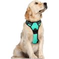 thumbnail image 1 of Rabbitgoo Arnés para Perros, Arnés para Mascotas sin Tirones con 2 Clips para Correa, Chaleco para Perros Acolchado Suave y Ajustable, Chaleco Oxford Reflectante para Mascotas sin asfixia con asa de f, 1 of 4