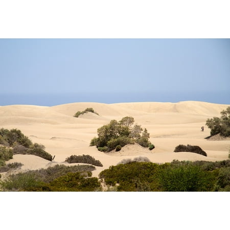 Canvas Print Sand Dunes Beach Maspalomas Dunes Gran Canaria Stretched Canvas 10 x