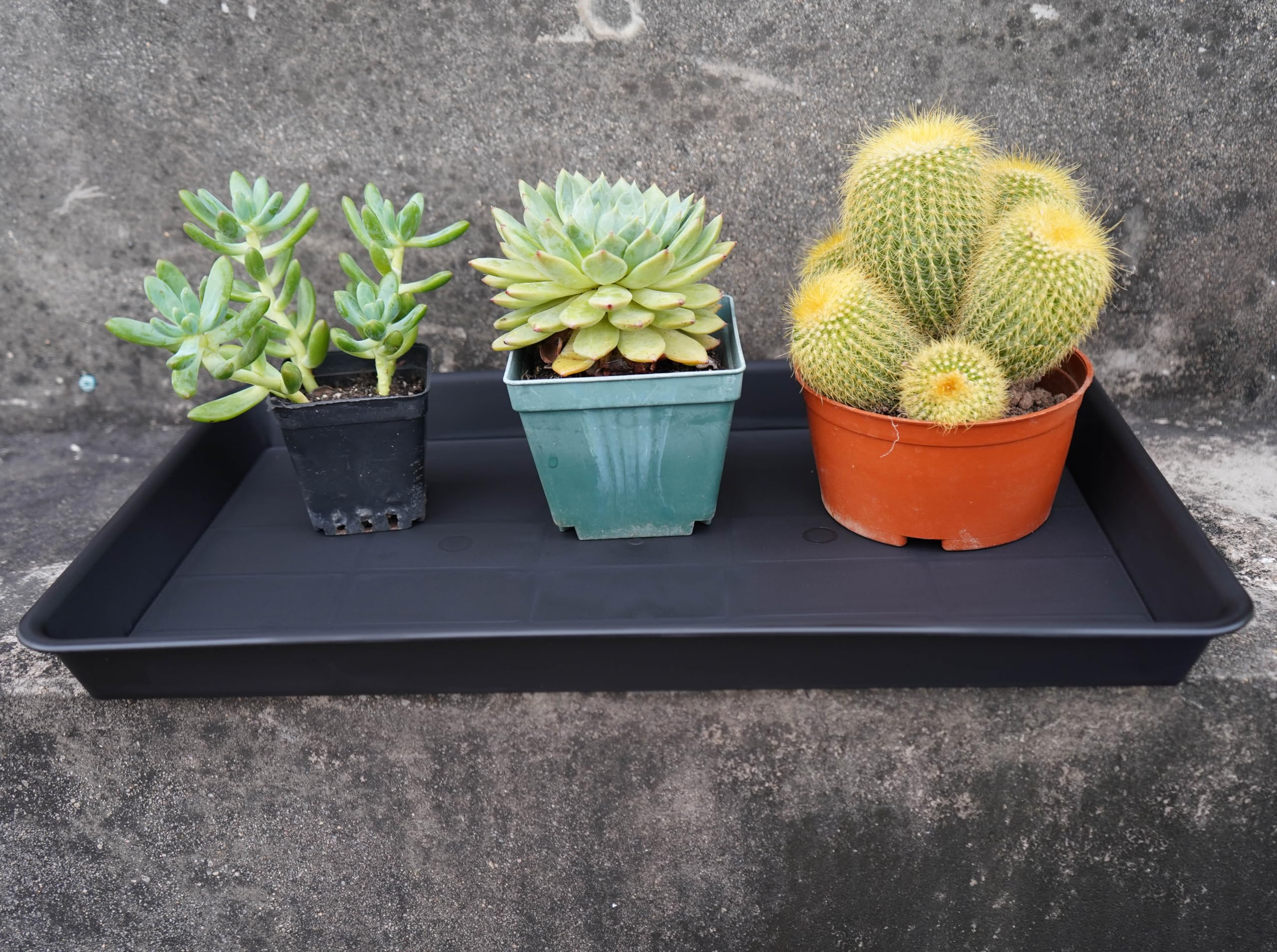 Plant Saucer Growing Tray Set 2-Pack 11x9 Inch Heavy Duty Plastic Seed Starter Trays with Drainage for Indoor Outdoor Pots Gardening Supplies