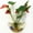 Green, variant on Happy date Wall Mounted Clear Acrylic Round Fish Tank Flower Pot Vase Decoration Wall Hanging Mount Fish Bowl Fish Bubble Aquarium Decorative Plant Pot Hanging Hydroponic Pot