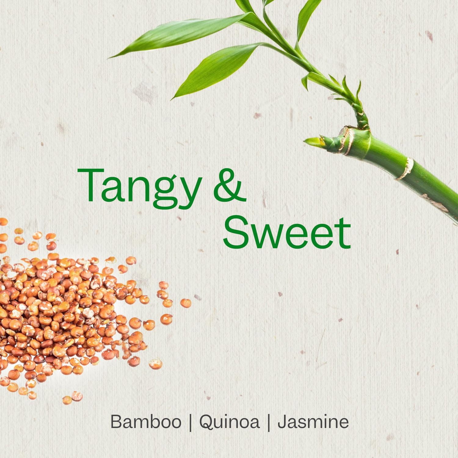 Renpure Bamboo & Shampooing quinoa, à base de plantes - Restaure, Hydrate et renforce pour des cheveux plus sains - Pour les cheveux faibles, ternes et abîmés - 24 Fl Oz