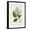 Black Frame, variant on Art.com Antique Turpin Botanical V Art Print by 0 Turpin, Brown Frame Wall Art, 21" x 29"